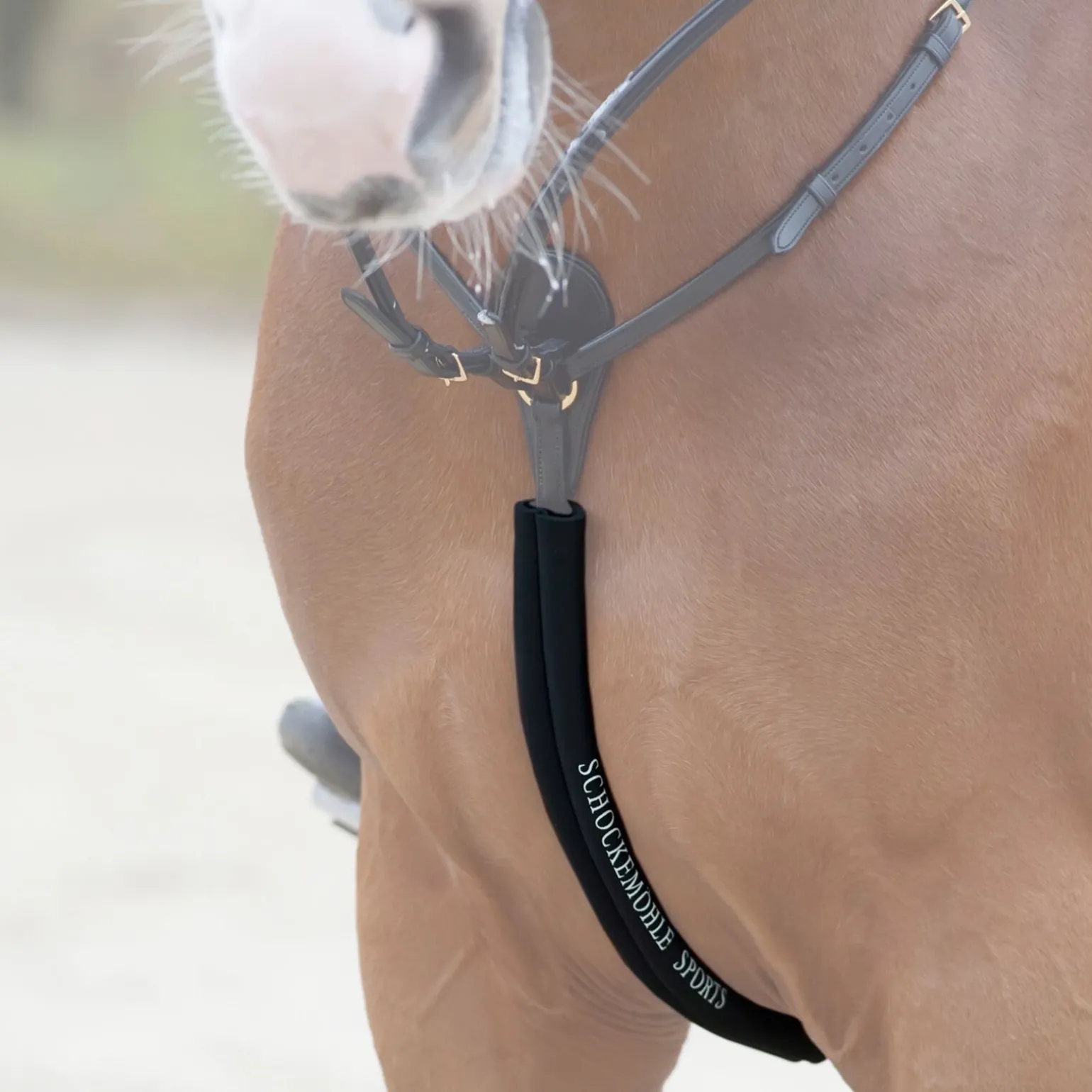 Schockemöhle Sports Body Gyard Sport, neoprentube på brystplaten