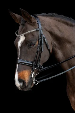 Schockemöhle Sports Brindisi Kandarhodelag