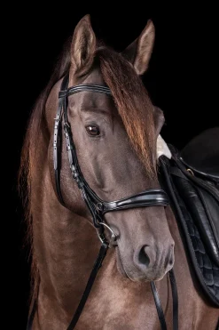 Schockemöhle Sports Equitus Theta 3-i-1 hodelag