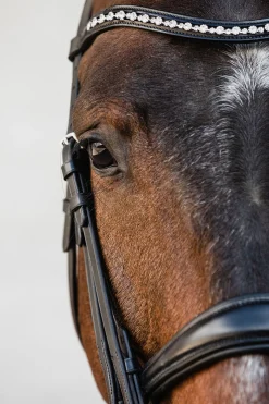Schockemöhle Sports Milton Anatomic Double Bridle