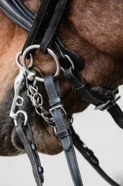 Schockemöhle Sports Milton Anatomic Double Bridle