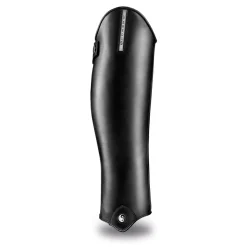 Veredus Guarnieri Accordo leggchaps