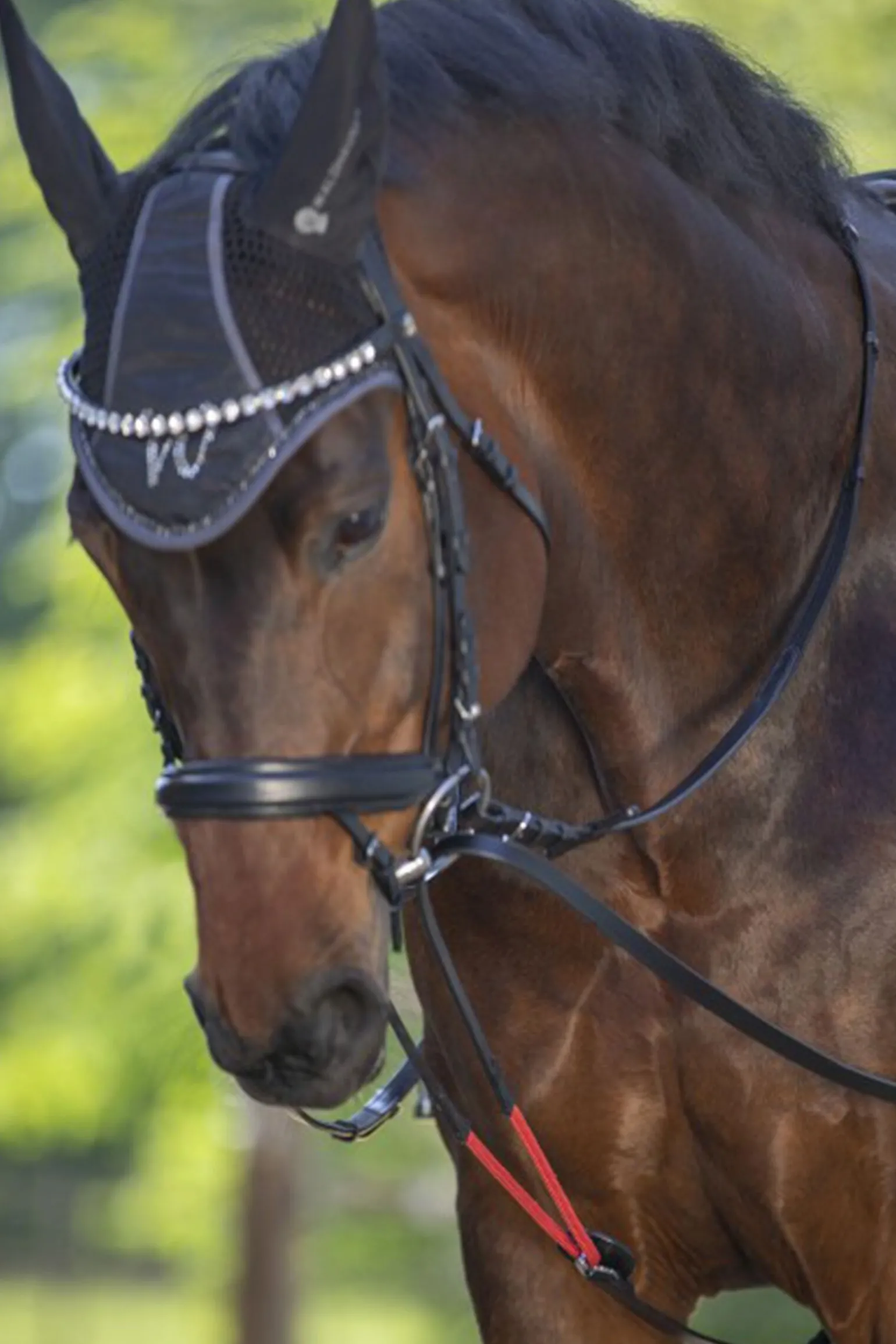 Waldhausen WTrainrein